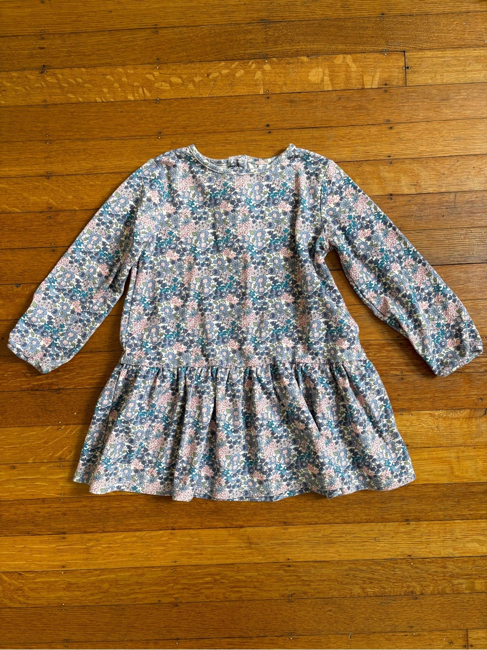 Grace and James Kids Girls 5 Blue Pink Floral Long Sleeve Dress